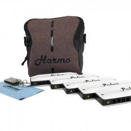 Harmo Polar Blues harmonica set of 5