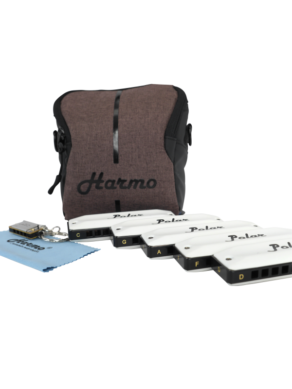 HARMO Harmo Polar harmonica blues set 5 Harmonica Sets  $199.90