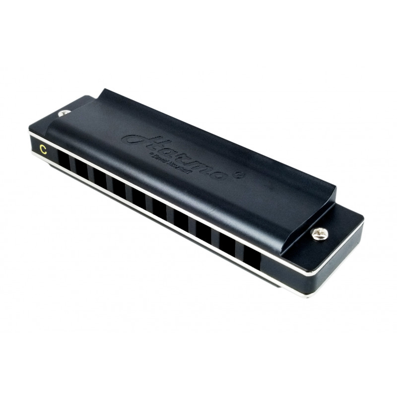 Unveiling the Angel 12 Harmonica: A Comprehensive Guide
