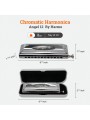 Harmo Angel 12 - Chromatic Harmonica in stock