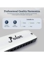Polar diatonic blues harmonica Polar diatonic blues harmonica