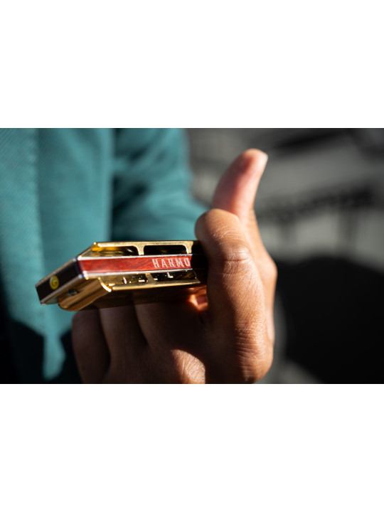 Looking for the best blues harmonica? check out the brand new 2026 Harmo Rover with rosewood comb and brass covers