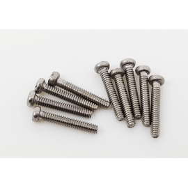 Reed plate screws for Polar/Torpedo harmonica