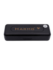 Harmonica for kids with case, key of C