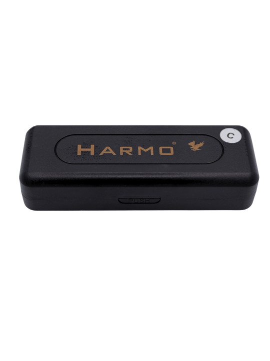 Harmonica for kids with case, key of C