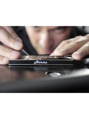 Angel 12 or 16 harmonica repair