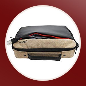 pro case for 10 hole diatonic harmonicas free shipping in stock